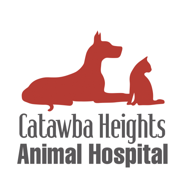 Catawba Heights Animal Hospital